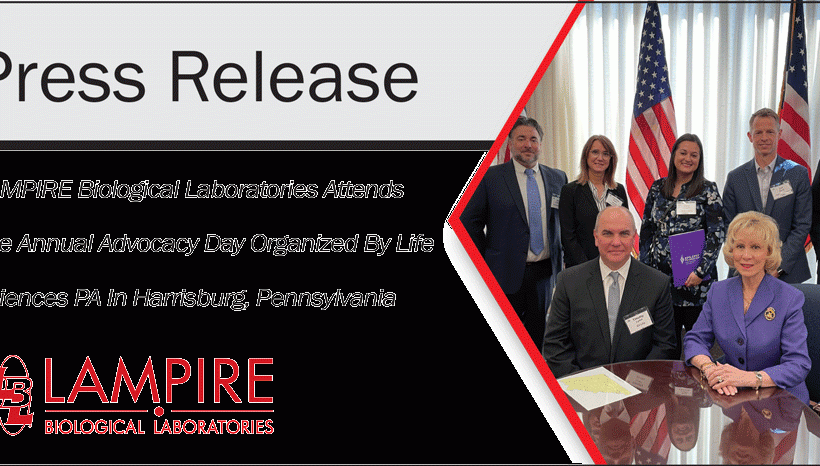 Press Release Banner