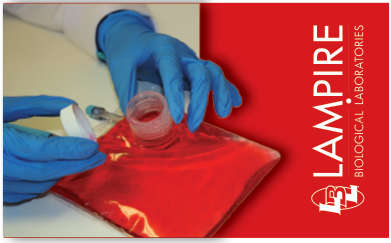Cell Culture Bag