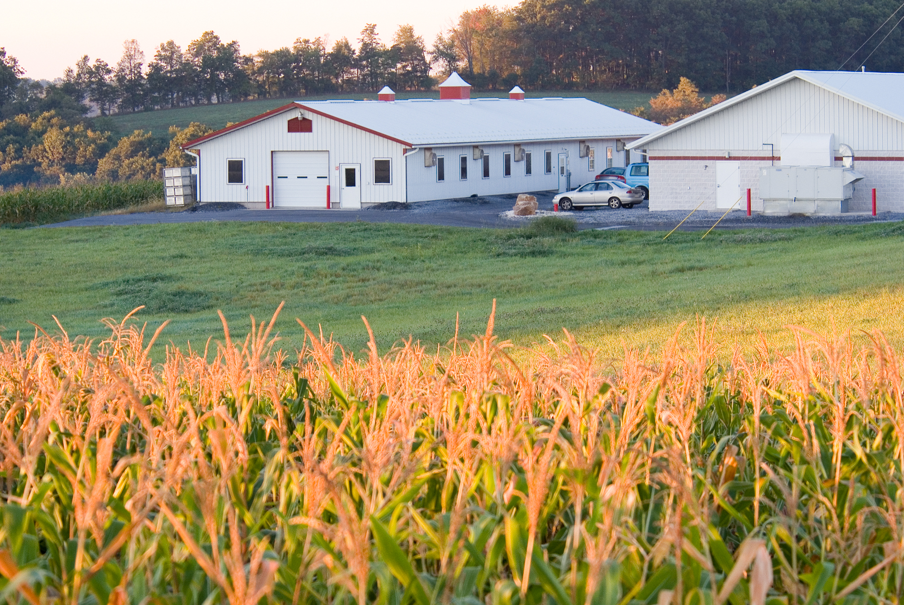 Achieved the first EC 1774/2002 Regulation Compliance in the sate of PA.  Also opened a state-of-the-art polyclonal production facility a tthe western PA campus