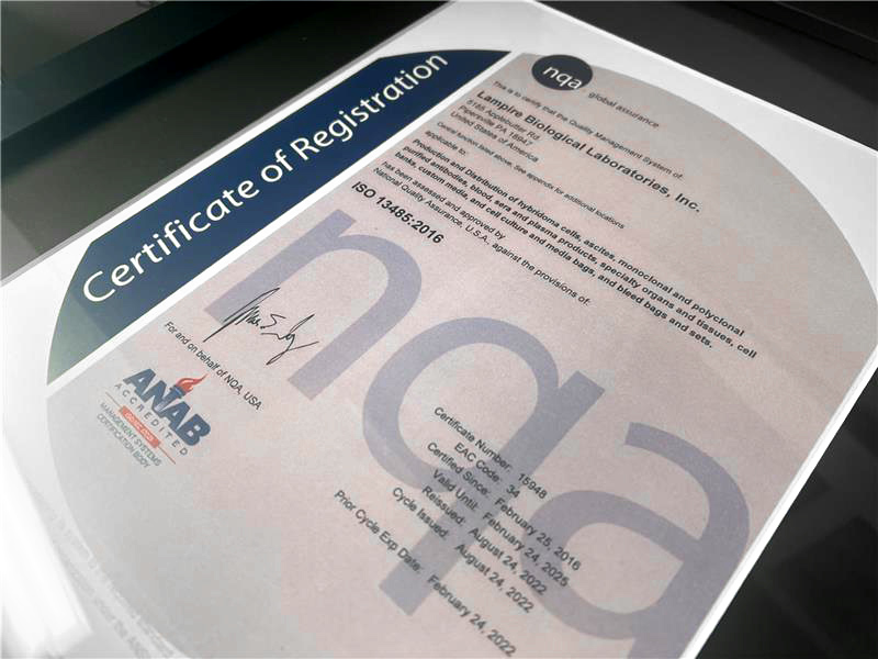 Achieved ISO 13485:2016 certification