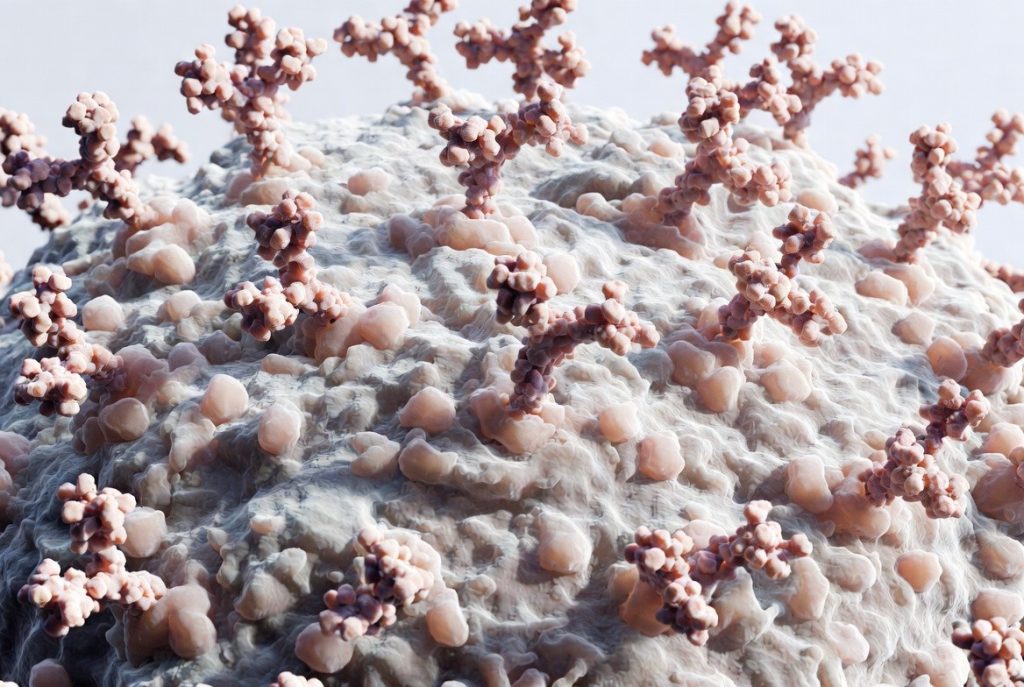 Lampire Monoclonal Antibody Services