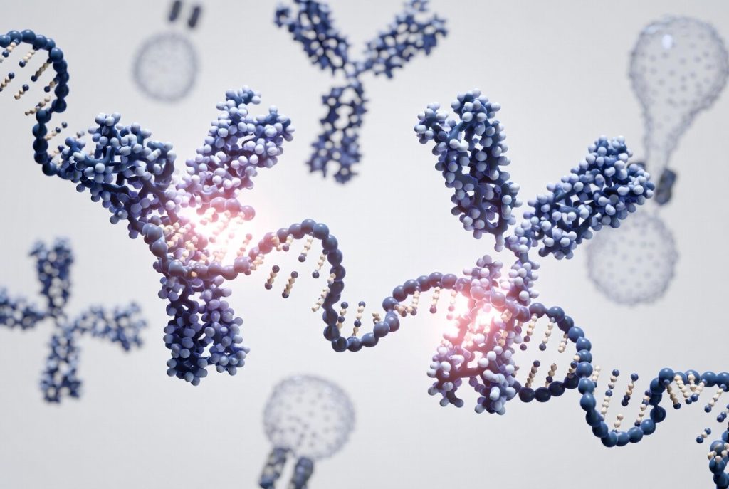 Olganucleotide