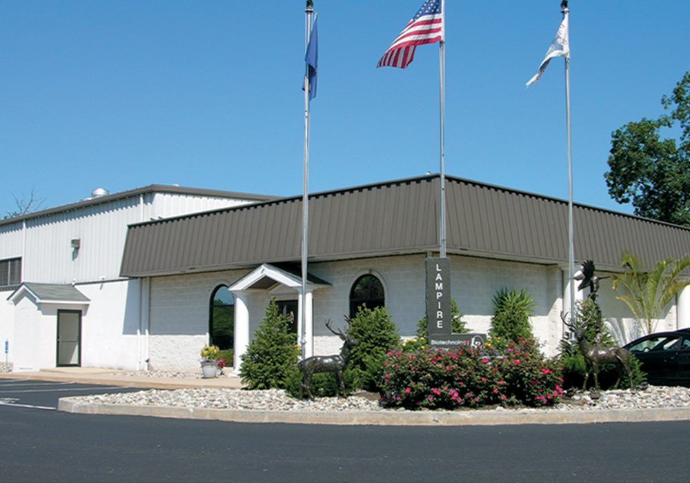 Lampire Pipersville Office