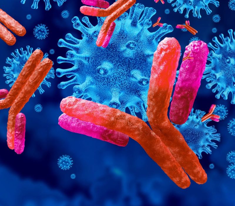 antibody-stock-art-03