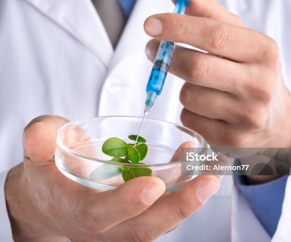 Doctor with syringe and young green plant