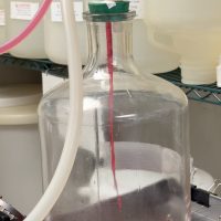 lampire-coopersburg-lab-02