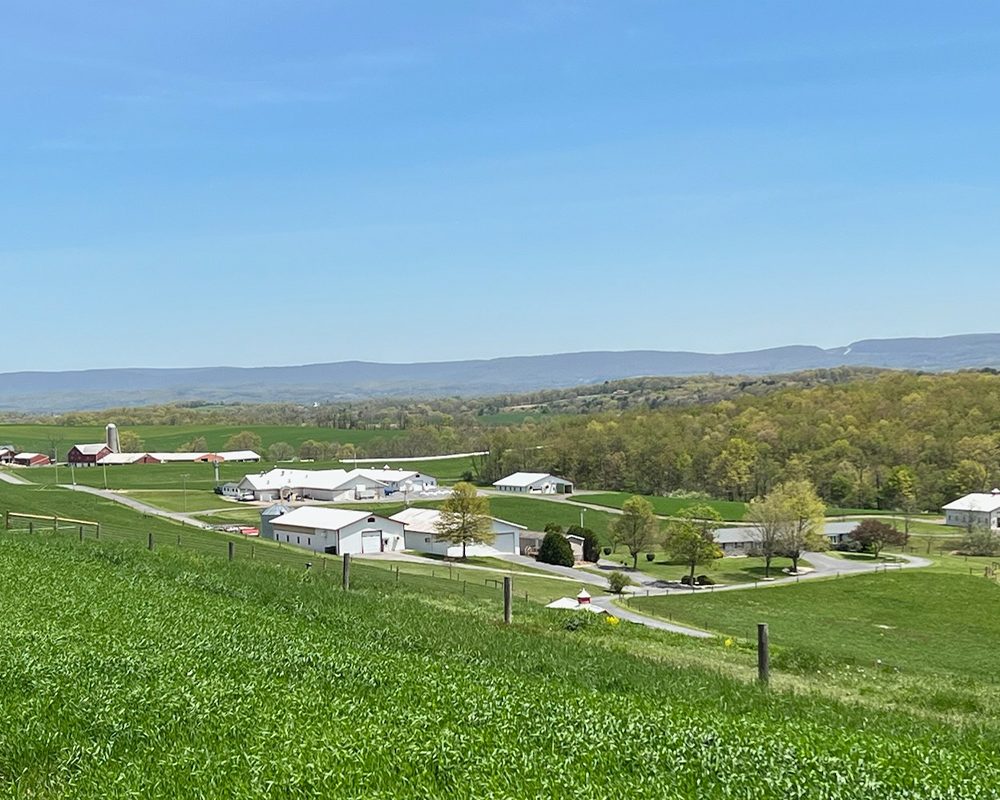 lampire-everett-farm-03