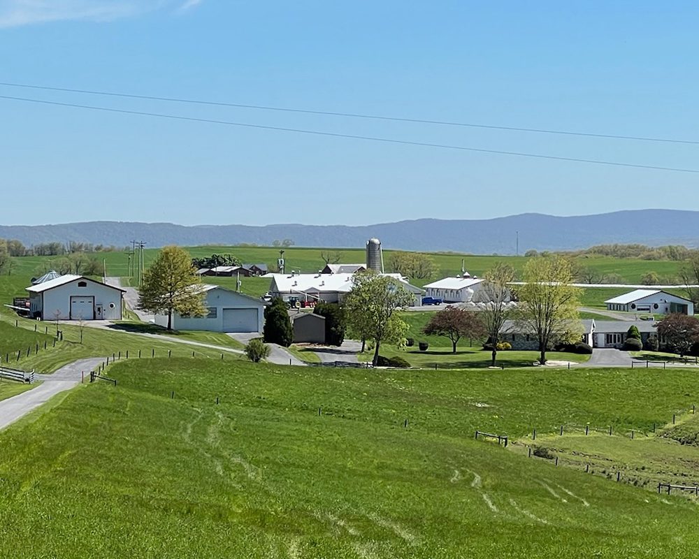 lampire-everett-farm-04