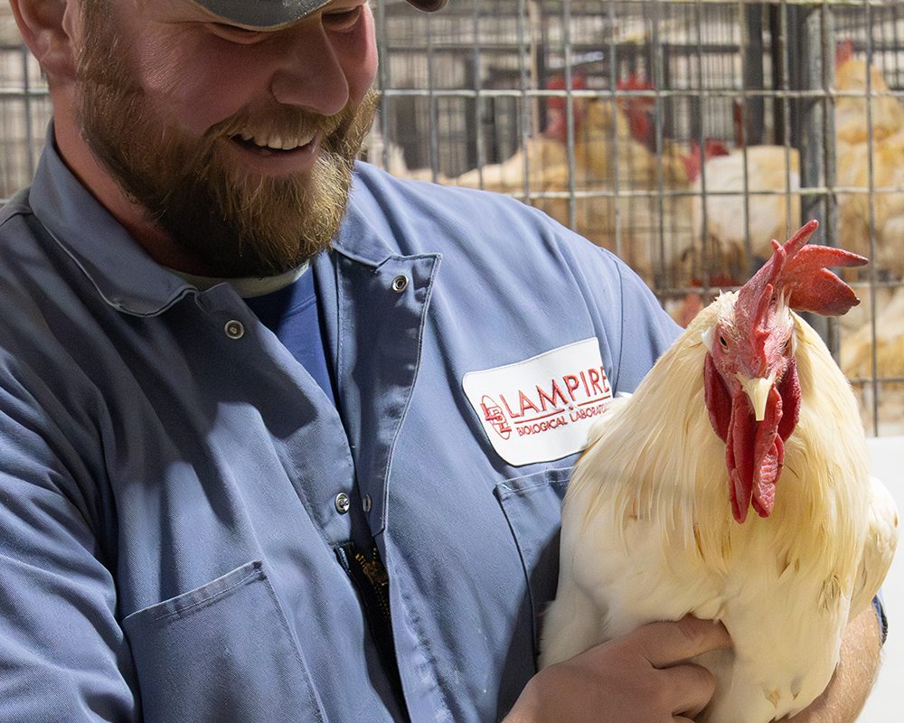 lampire-everett-farm-06