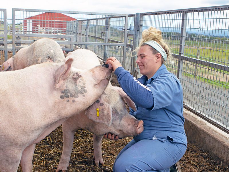 lampire-everett-farm-07