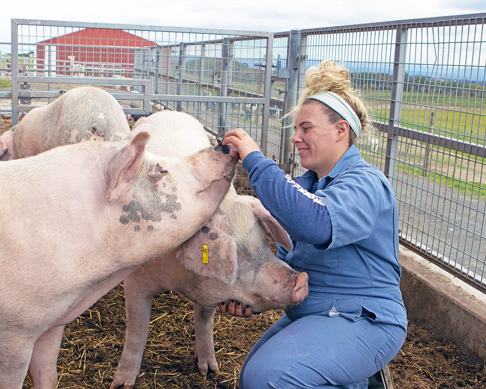 lampire-everett-farm-07