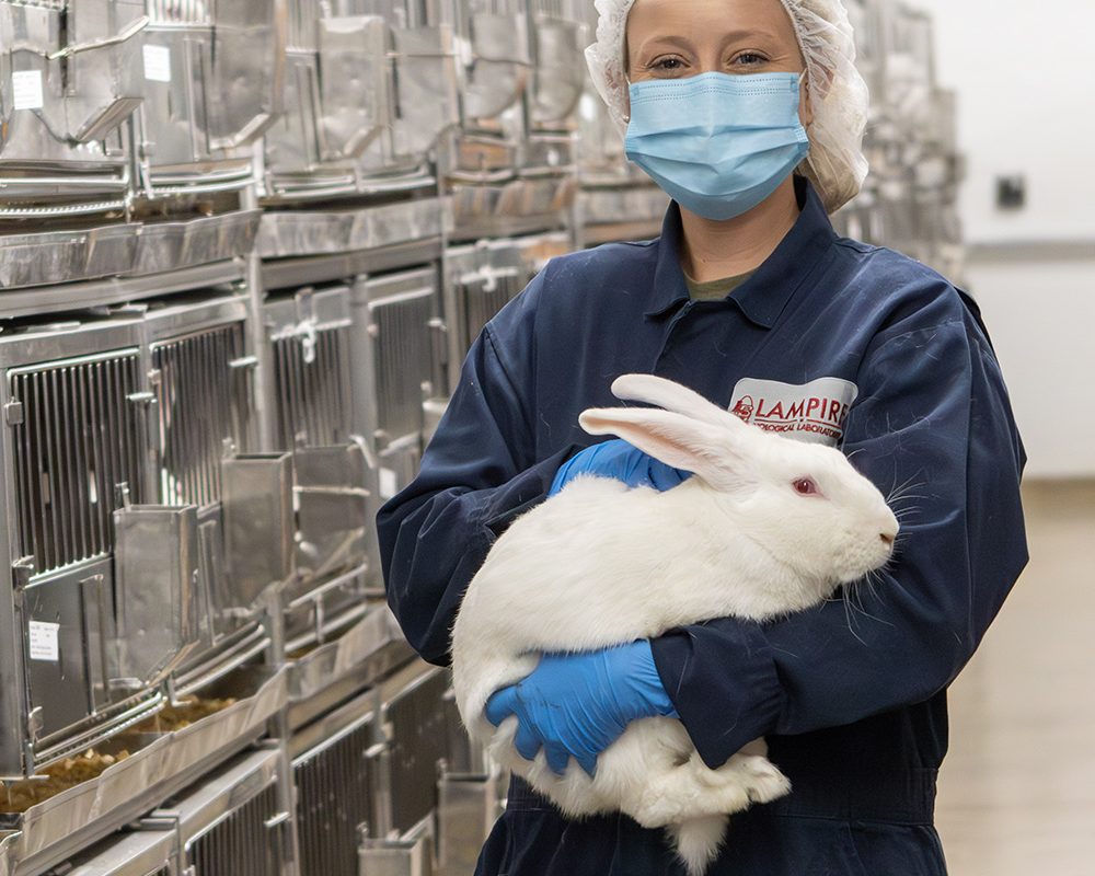 lampire-everett-farm-08