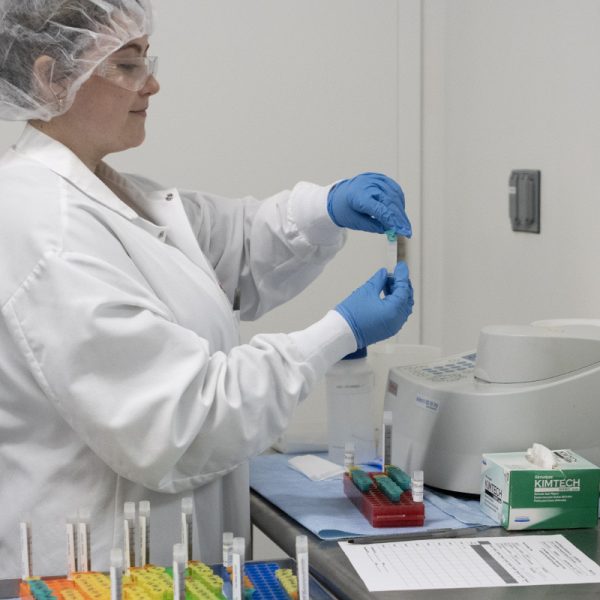 LAMPIRE Laboratory work