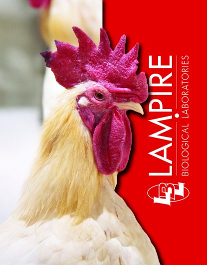 Lampire Biological Laboratory chickens