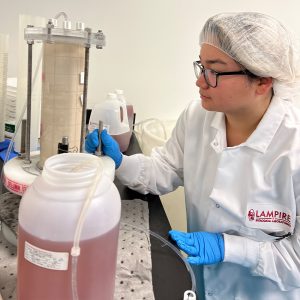 lampire-everett-lab-02