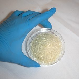 lampire-everett-lab-04