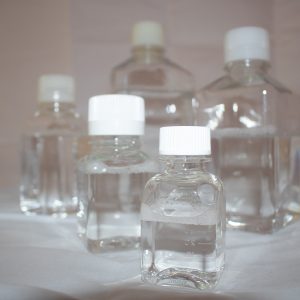 lampire-everett-lab-05