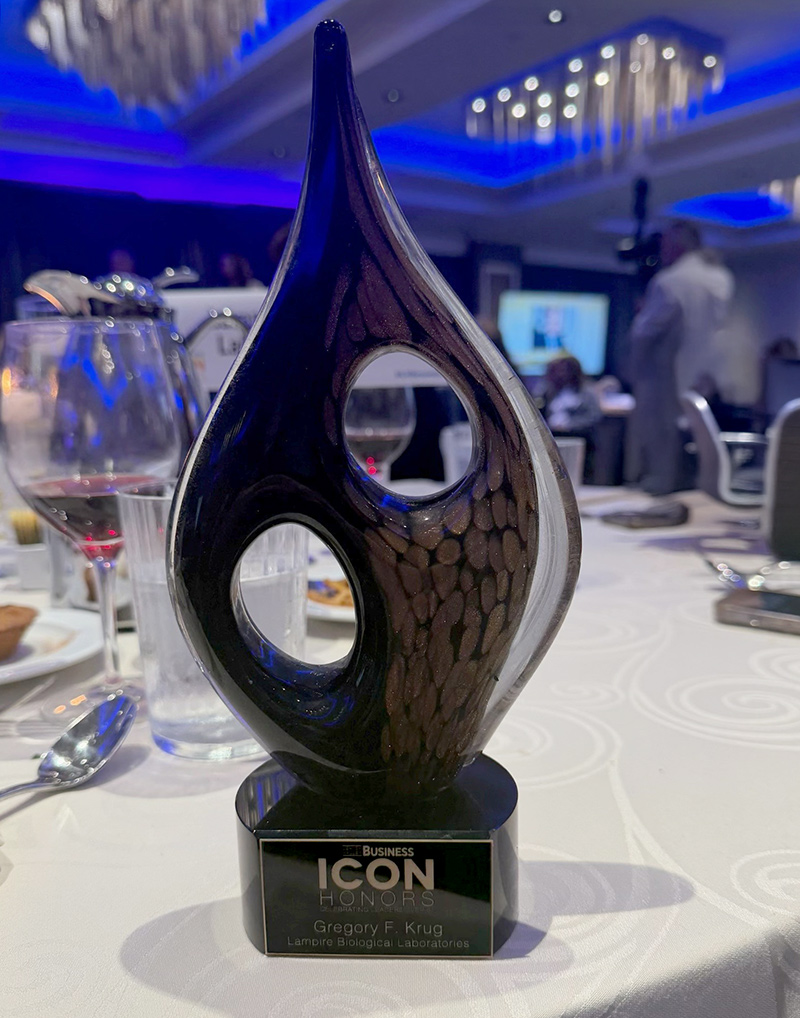 LAMPIRE ICON Award
