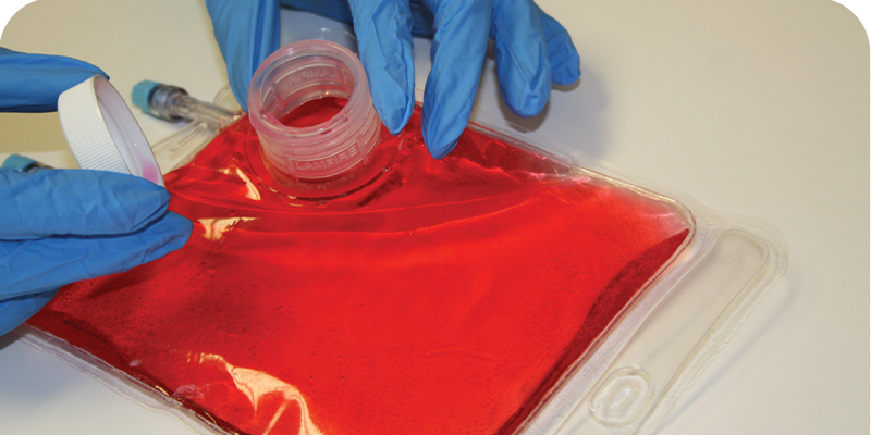 Launched the OMNIC3® Cell Culture Bag