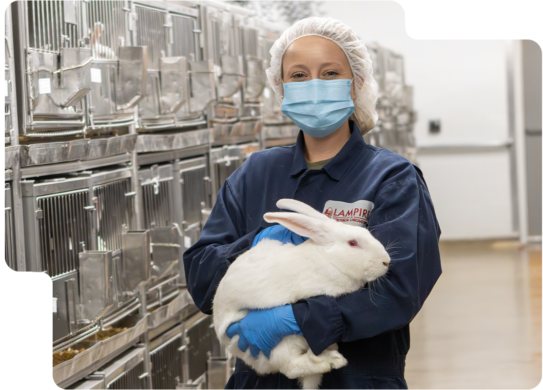 Rabbit Polyclonal Antibody Generation