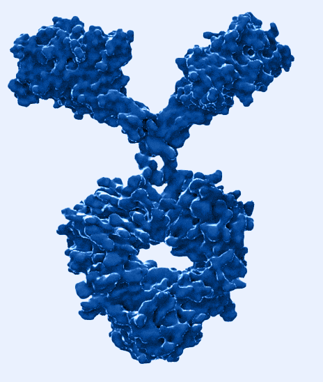 Lampire Antibody Services
