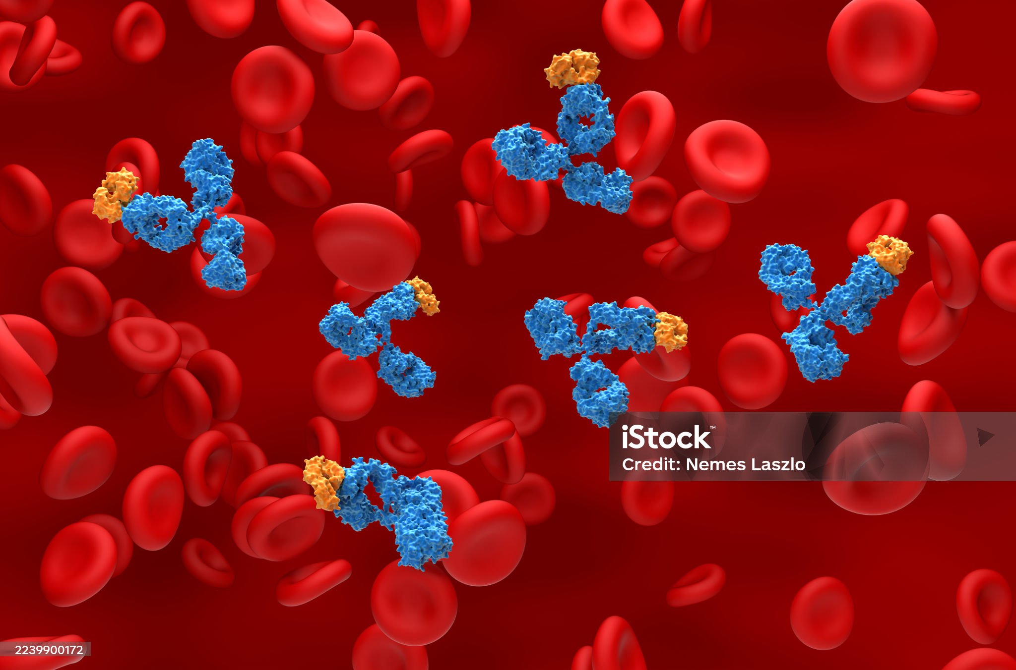 monoclonal antibodies