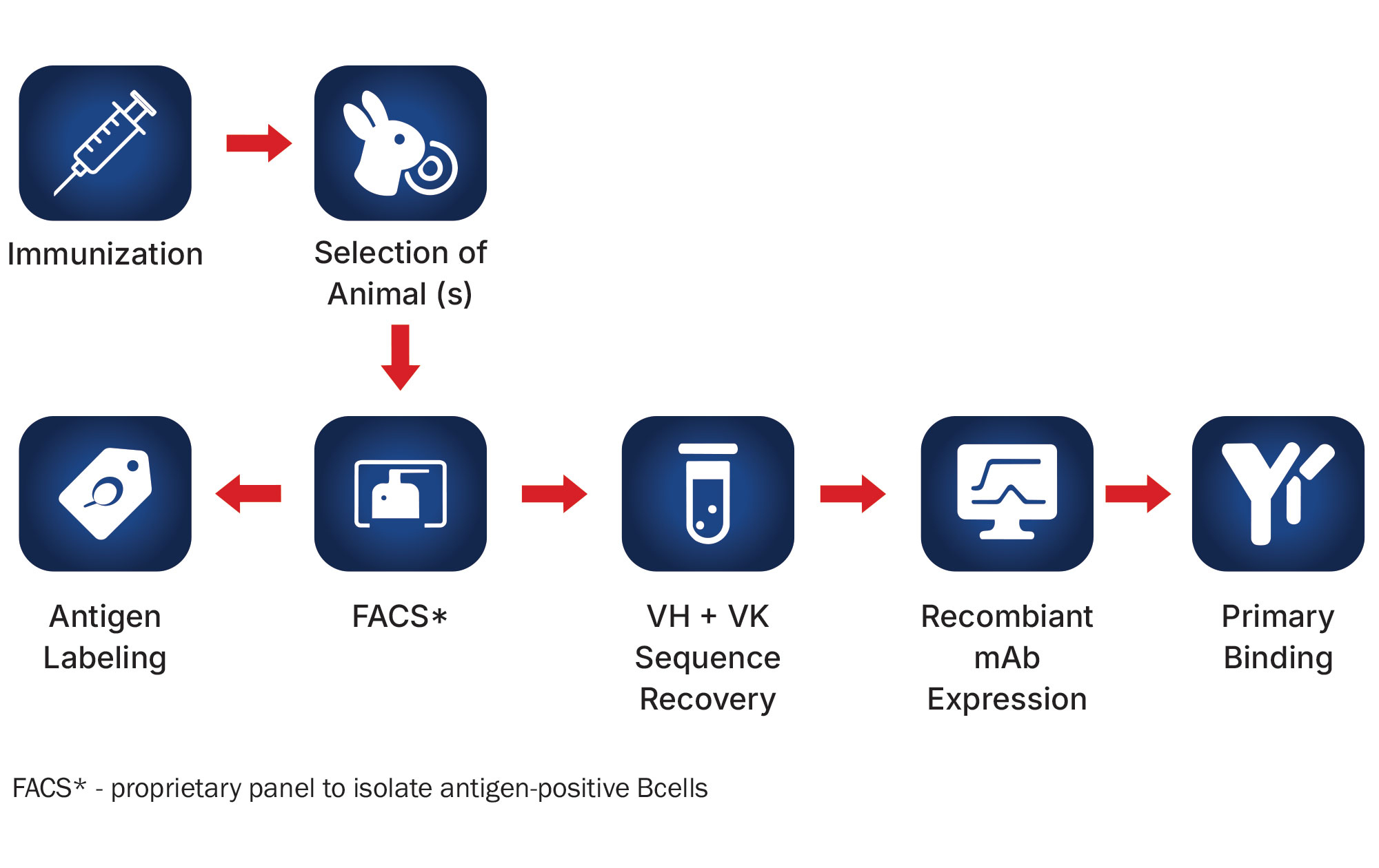 Lampire Rabbit Monoclonal Antibody Generation