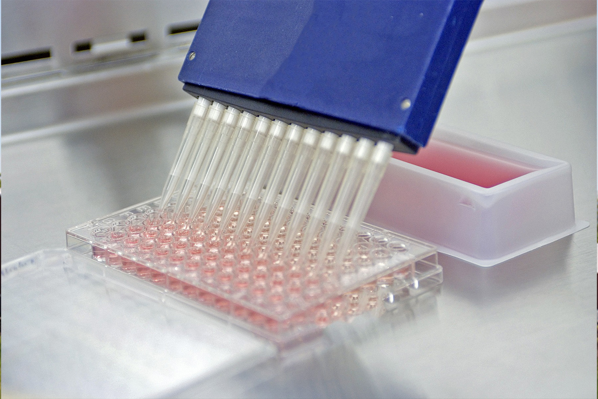 Began offering lateral-flow & immunology development services